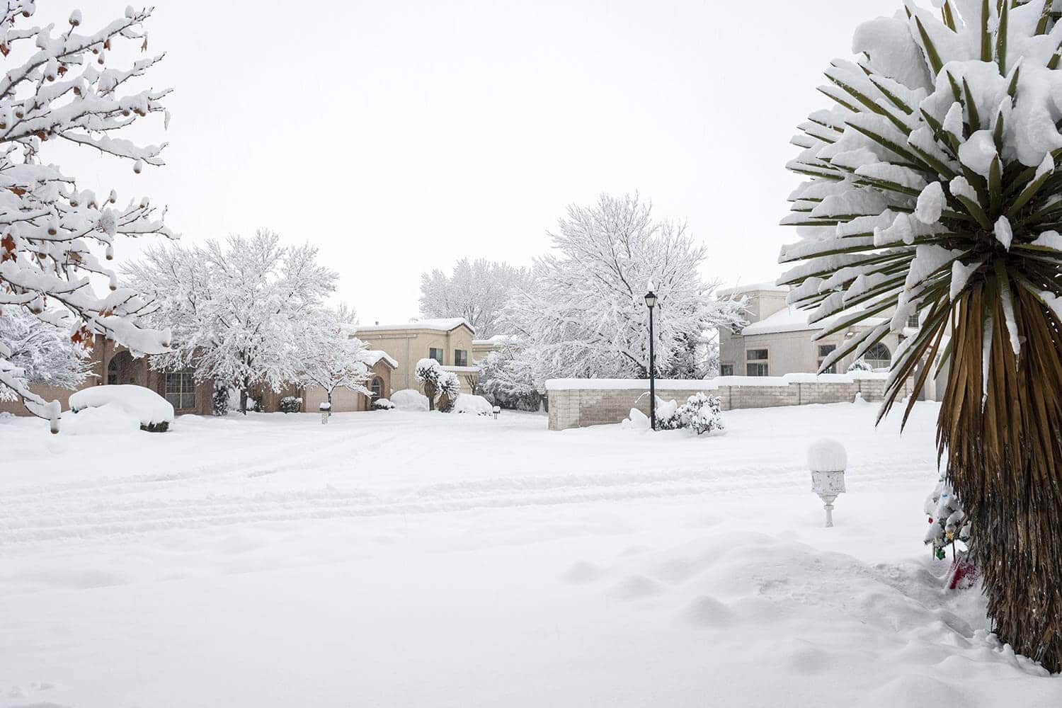 Albuquerque New Mexico Record Snow in winter