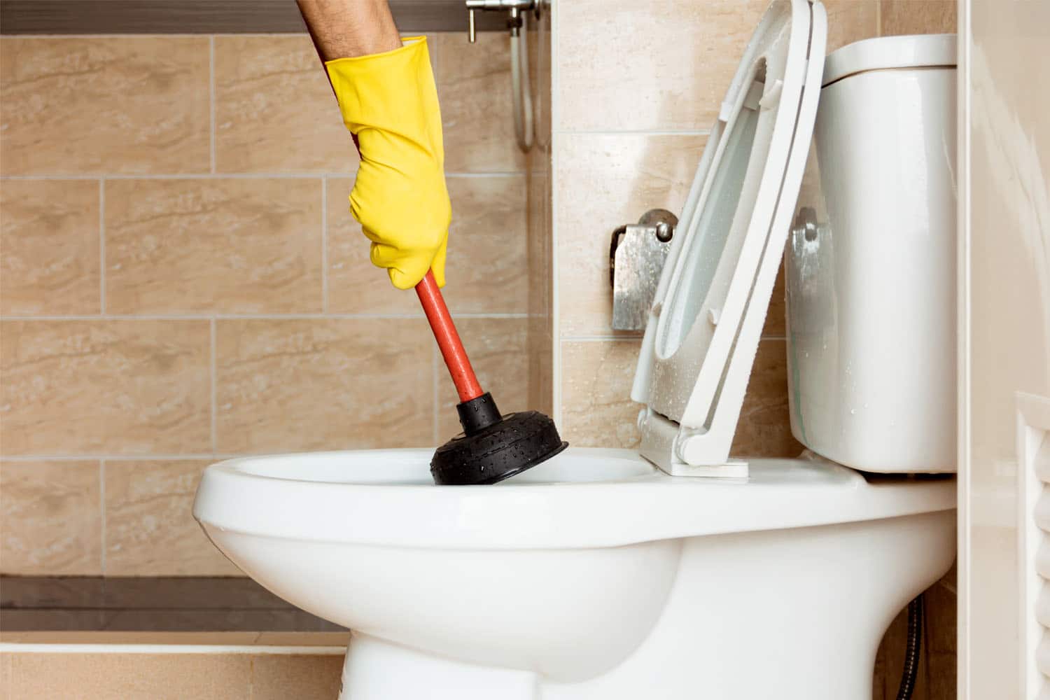 A homeowner is using a plunger to fix their toilet clog