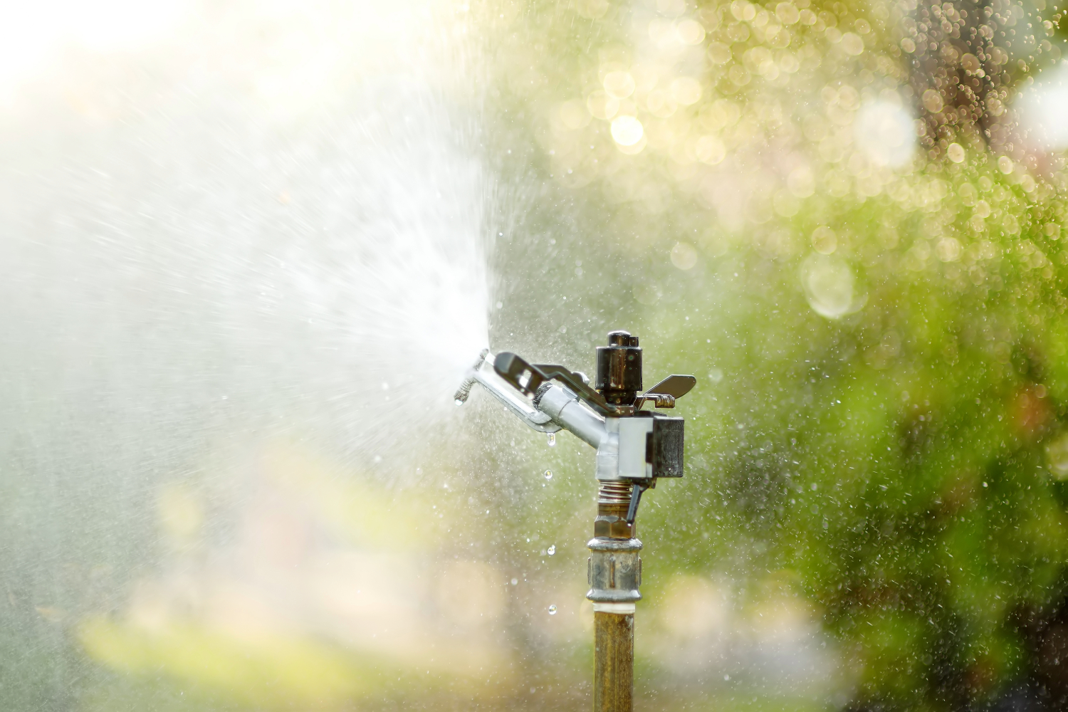 water bill